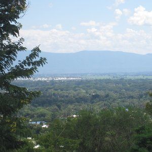 Meet your Posher, Naomi